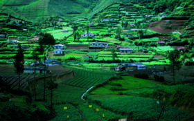 Nuwara